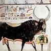 Oxen and cattle