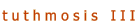 Tuthmosis III